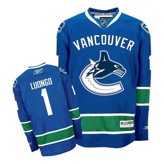 Vancouver Canucks #1 Roberto Luongo Blue Jersey on sale,for Cheap,wholesale  from China